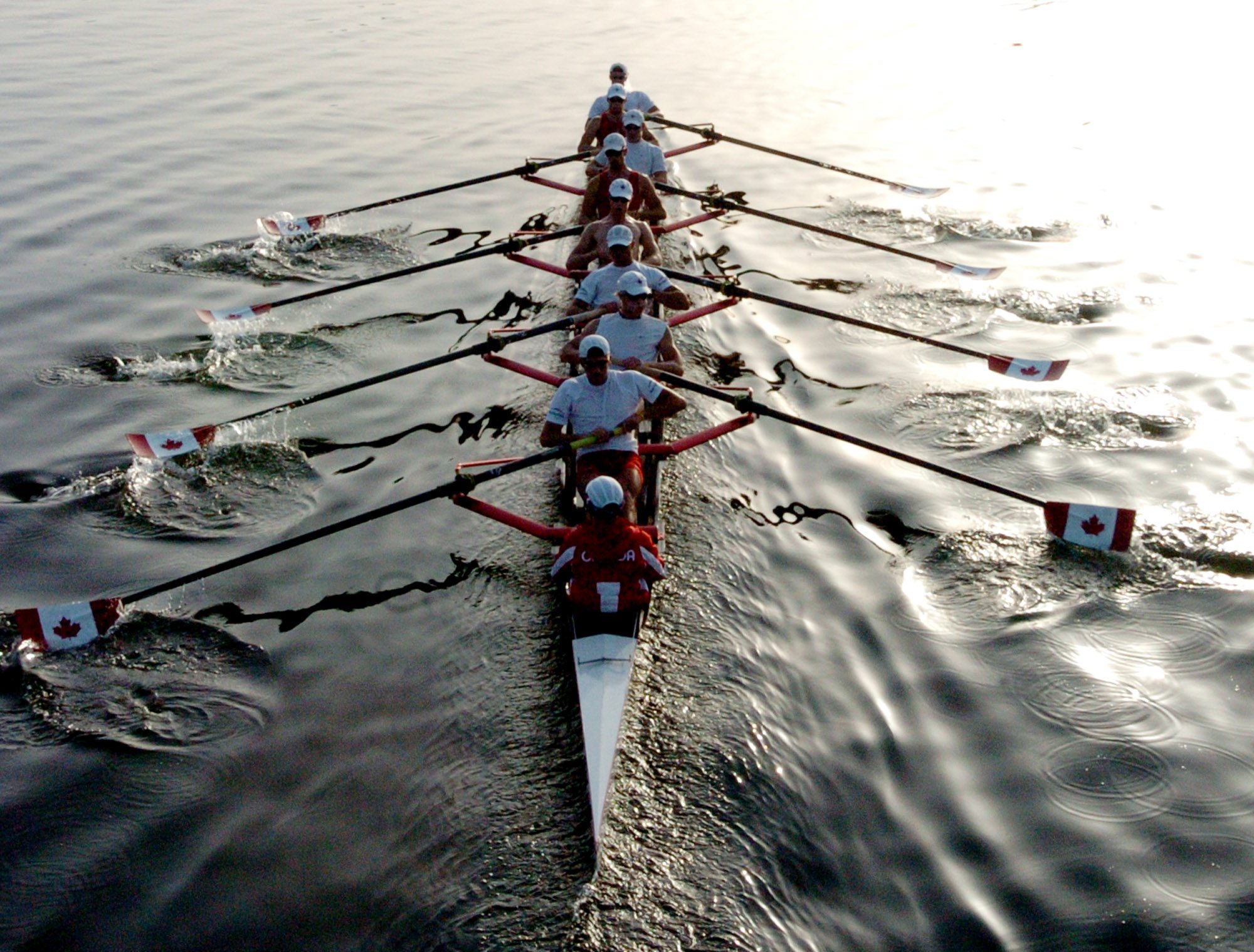 Aviron - Athènes 2004