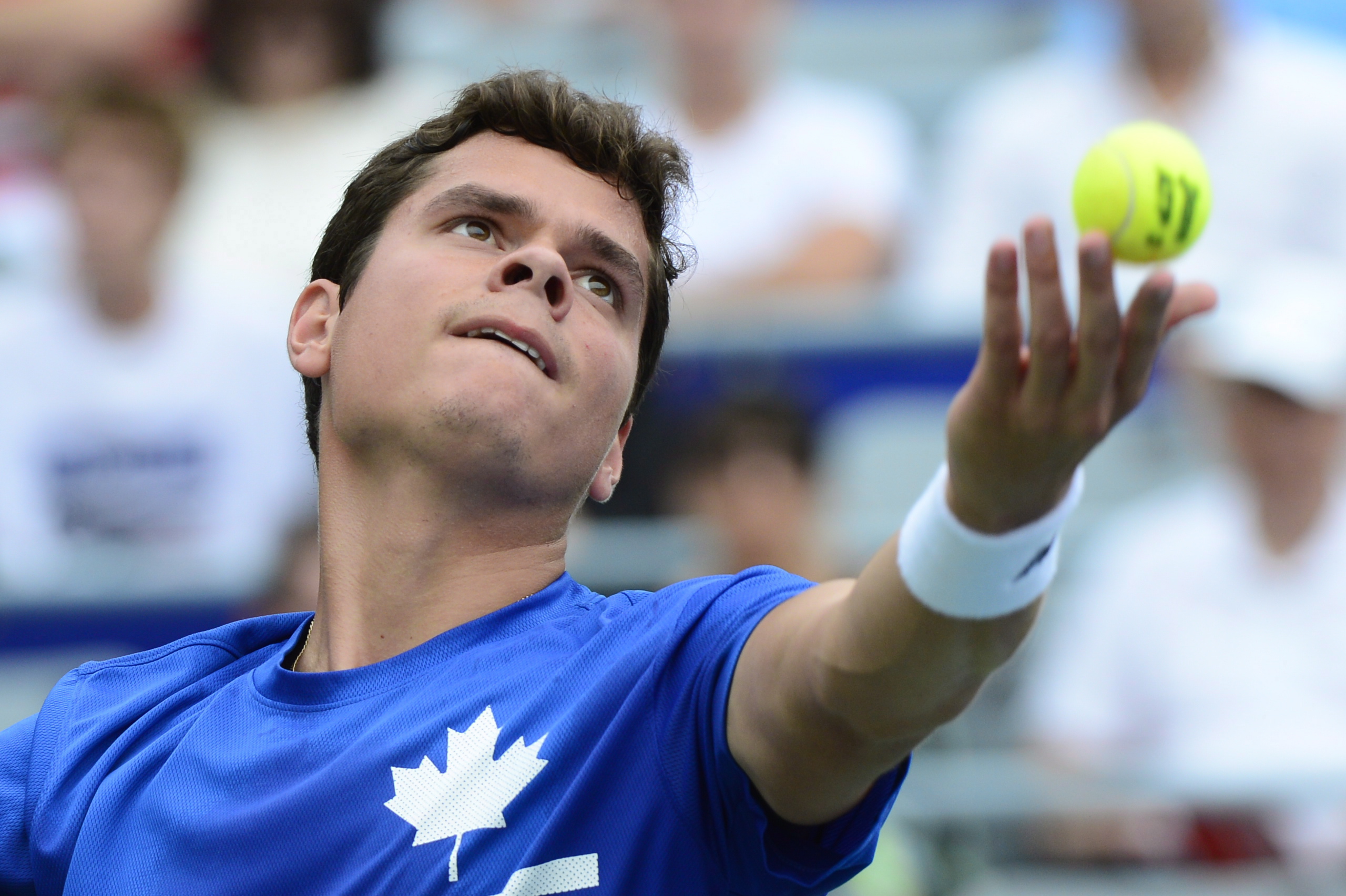Milos Raonic