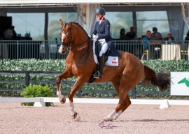 Une cavalière sur son cheval en action