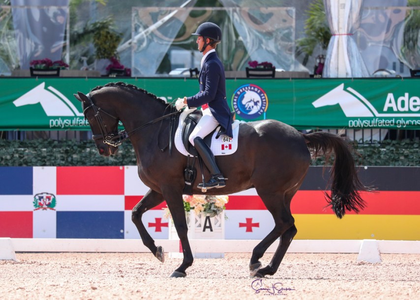 Un athlète en sports équestres sur son cheval en action