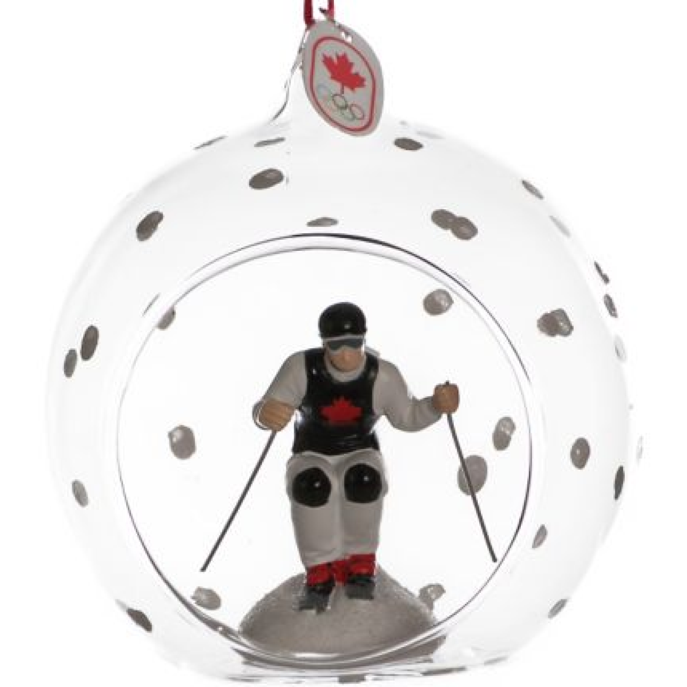 skier1 skier1