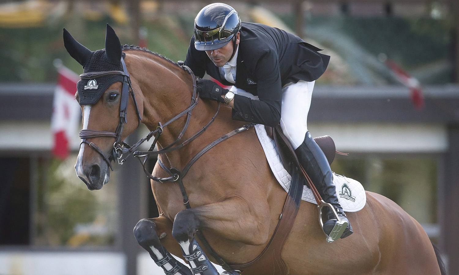Eric Lamaze et Fine Lady 5 à Spruce Meadows, le 9 juin 2016.(THE CANADIAN PRESS/Jeff McIntosh)