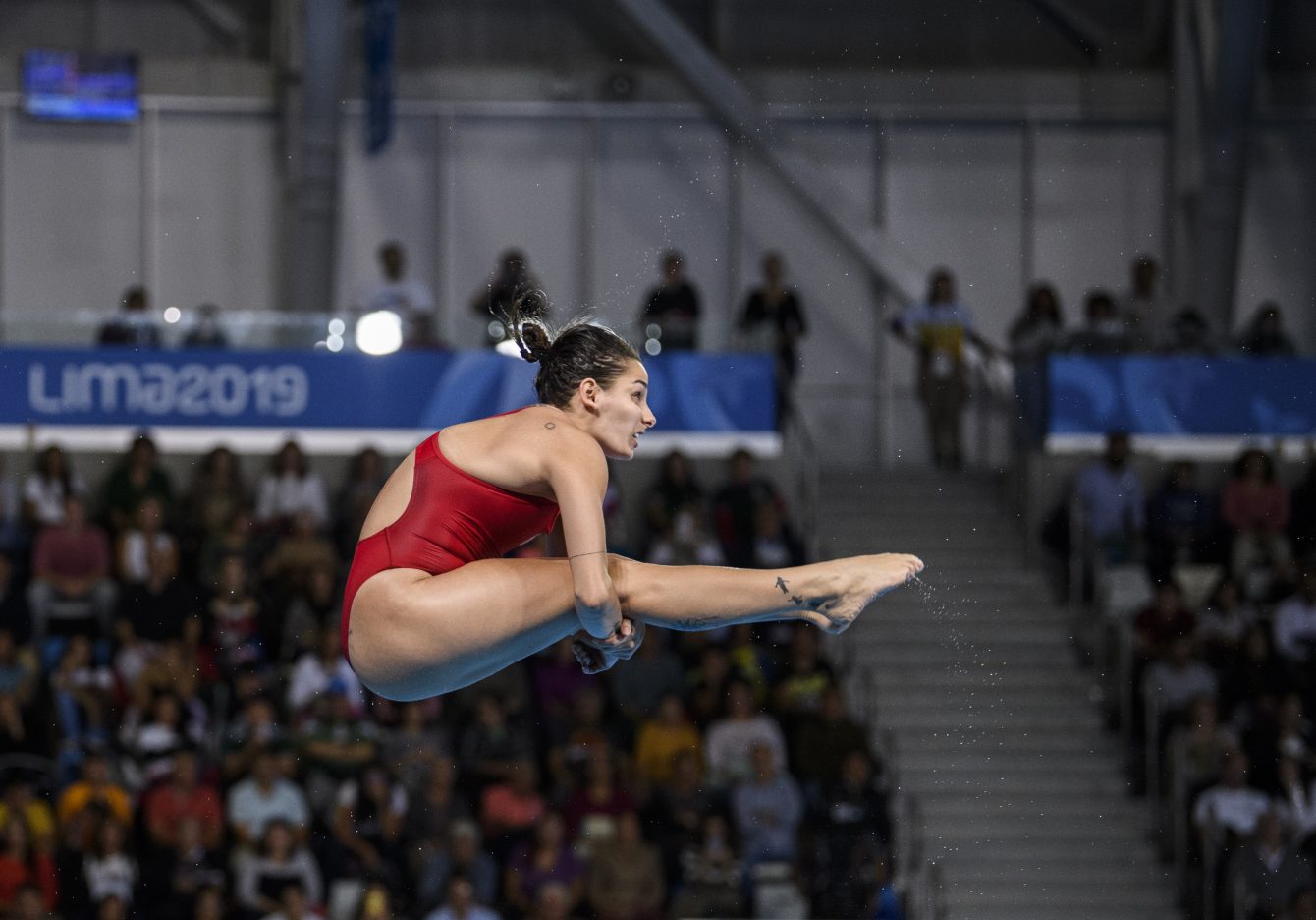 Pamela Ware lors de la finale du 3 m individuel aux Jeux panaméricains de Lima, au Pérou, le 5 août 2019. Photo : Vincent Ethier/COC