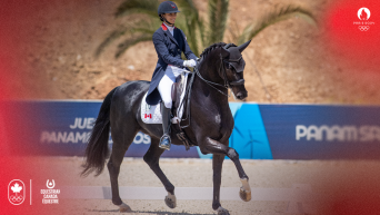 Montage photo d'une cavalière sur son cheval.