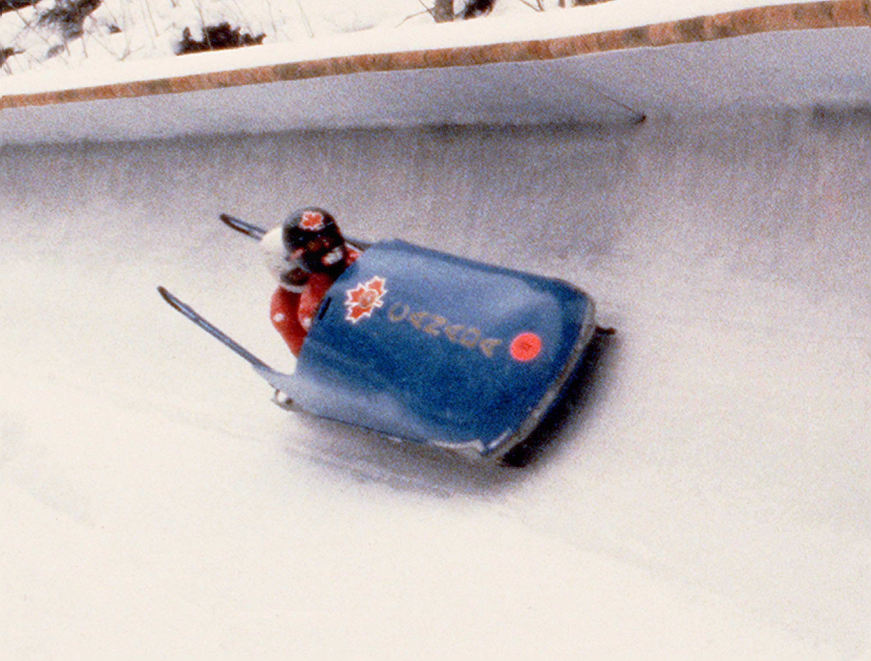 2 Man Bobsleigh