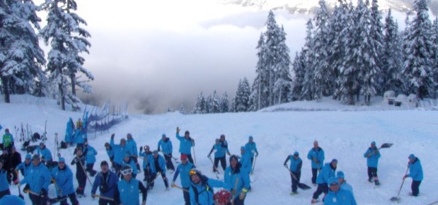 Photo: Weasel Workers