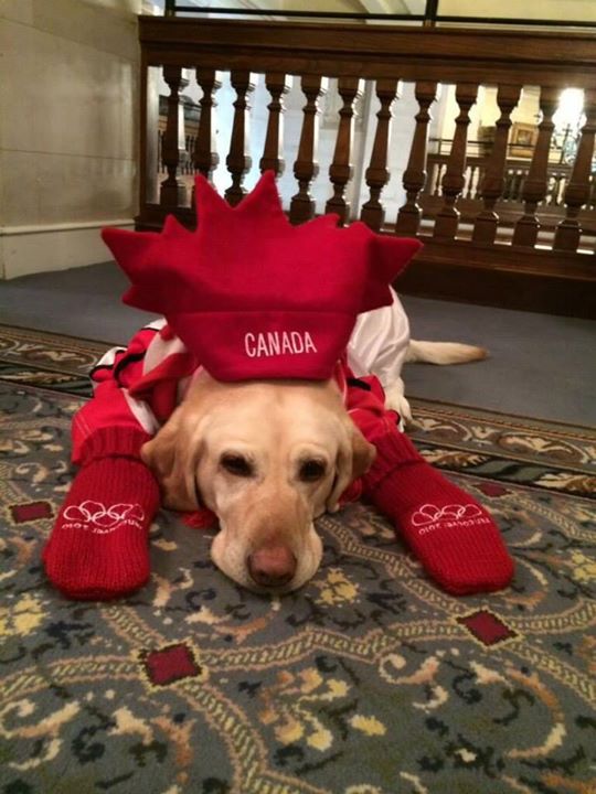 Photo via Twitter @GarrettTurta