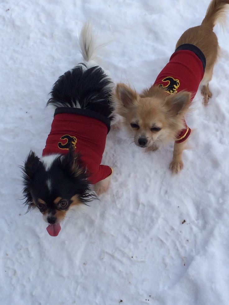 Photo: http://bit.ly/1zmldau