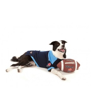 argos2 Photo: http://bit.ly/1wNXs8N