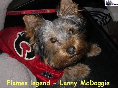 Photo: http://bit.ly/1u0LysL