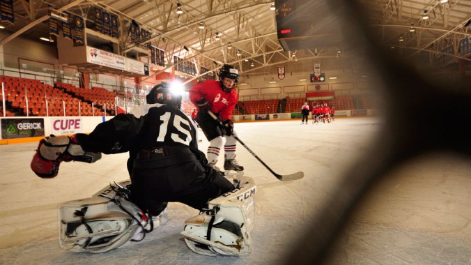 Teck hockey drills Former and current NHL hockey players such as Ray Ferraro, Dallas Drake and Shawn Horcoff and many others are from Trail, BC.