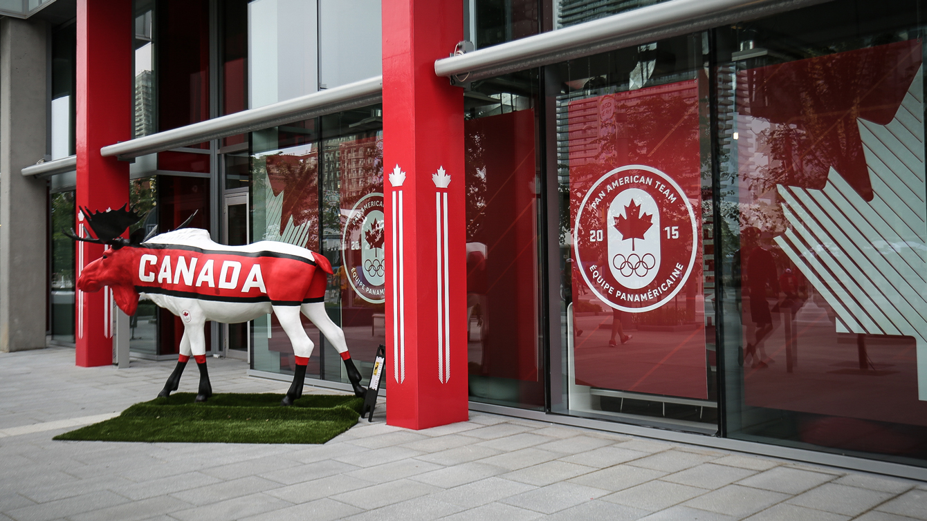 Canadian moose on the loose (photo: Alexa Fernando)