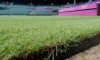 Wimbledon’s gorgeous grass has a Canadian touch