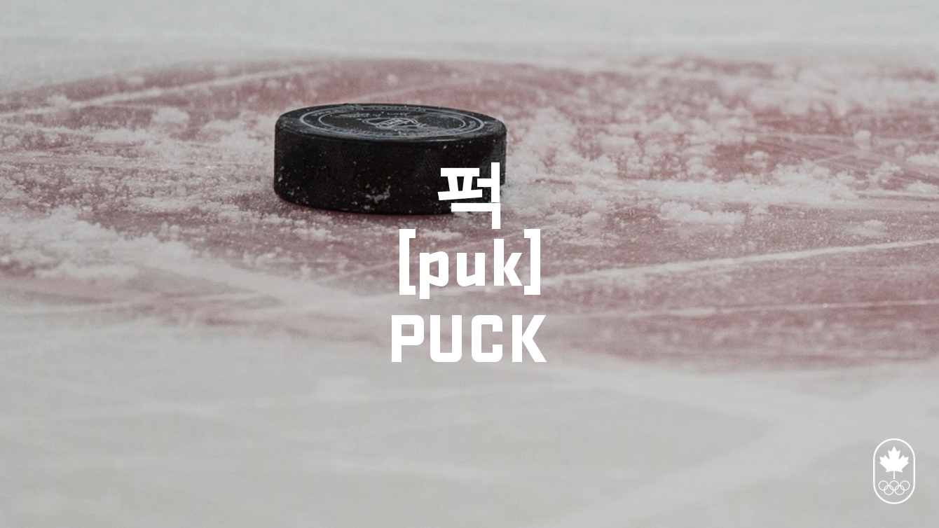 Team Canada - Hockey Puck puk