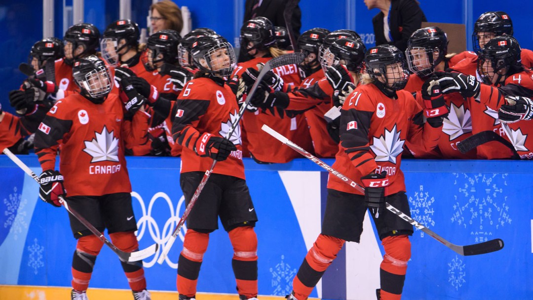 Women's hockey goal