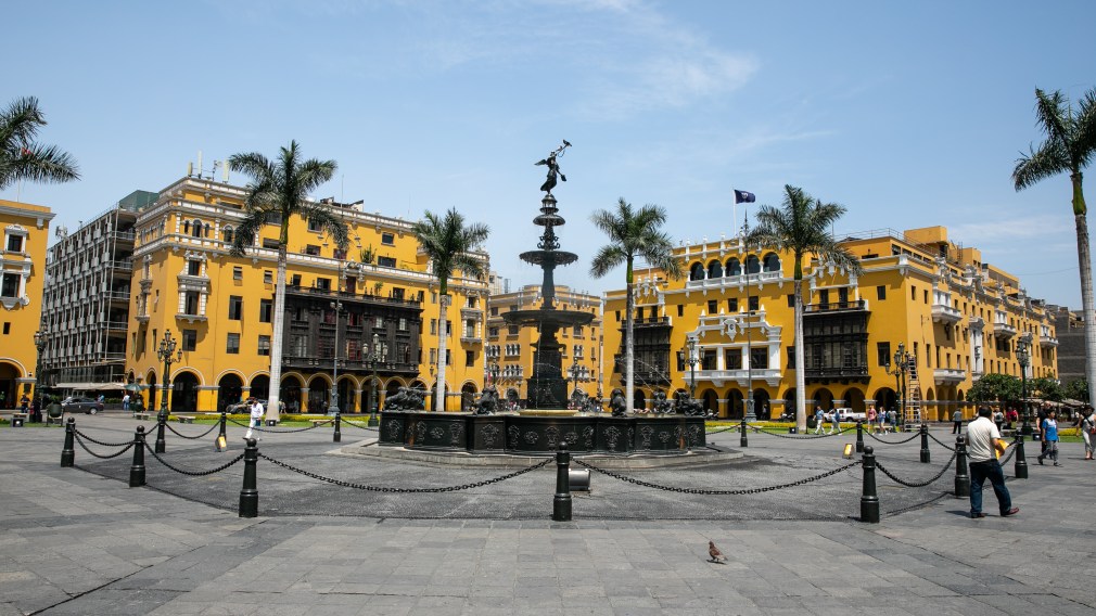 Yellow buildings with palm trees in front