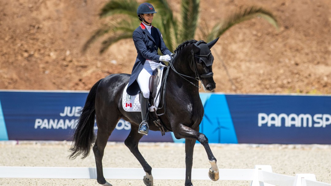 A dressage rider in blue coat and white pants rides a dark brown horse