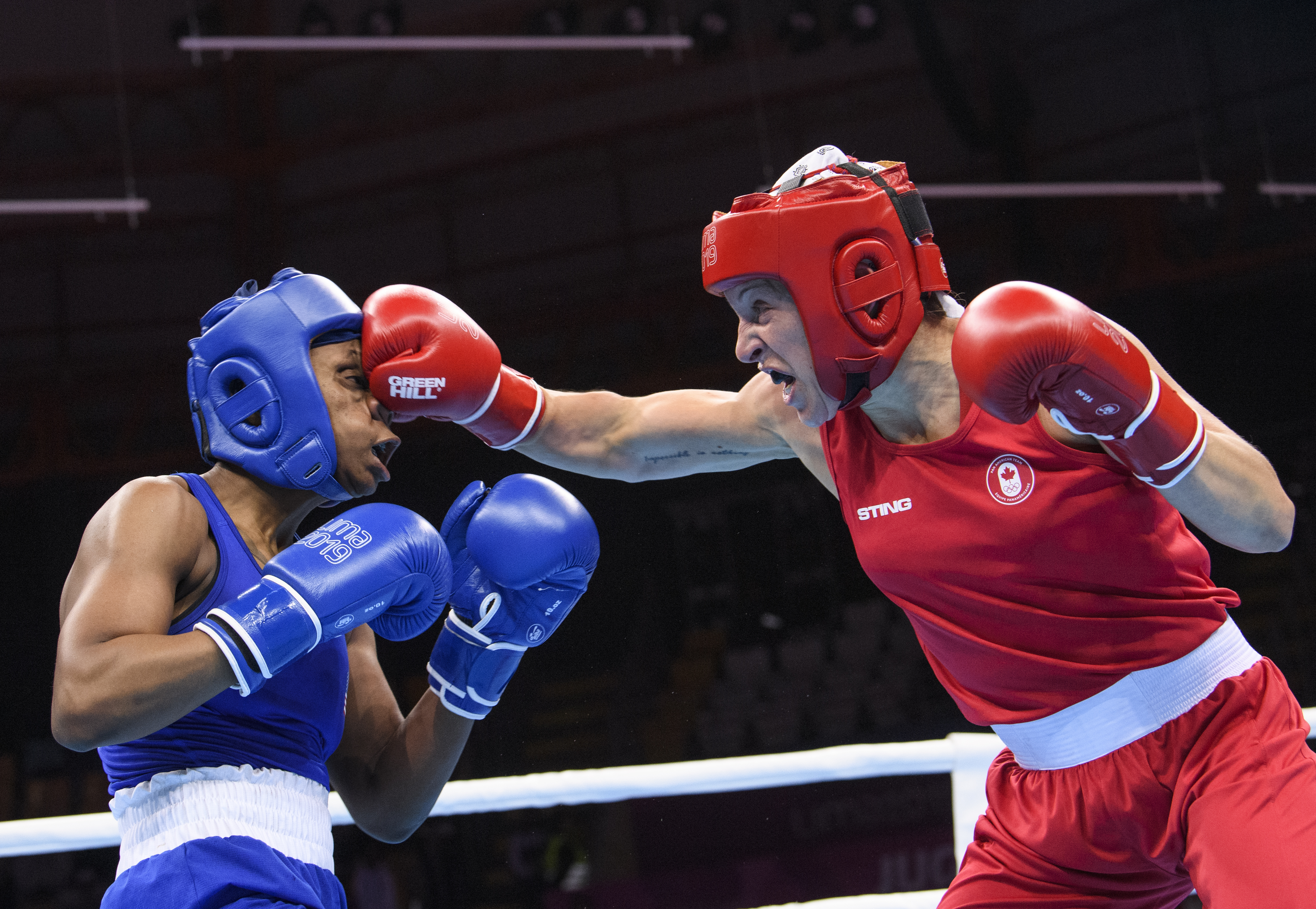boxer punches another boxer