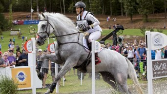 Equestrian rider and horse jumping over obstacle