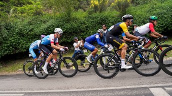 Several road cyclists in a race