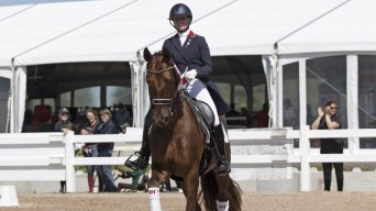 A dressage rider in blue coat and white pants sits stop a brown horse walking on dirt