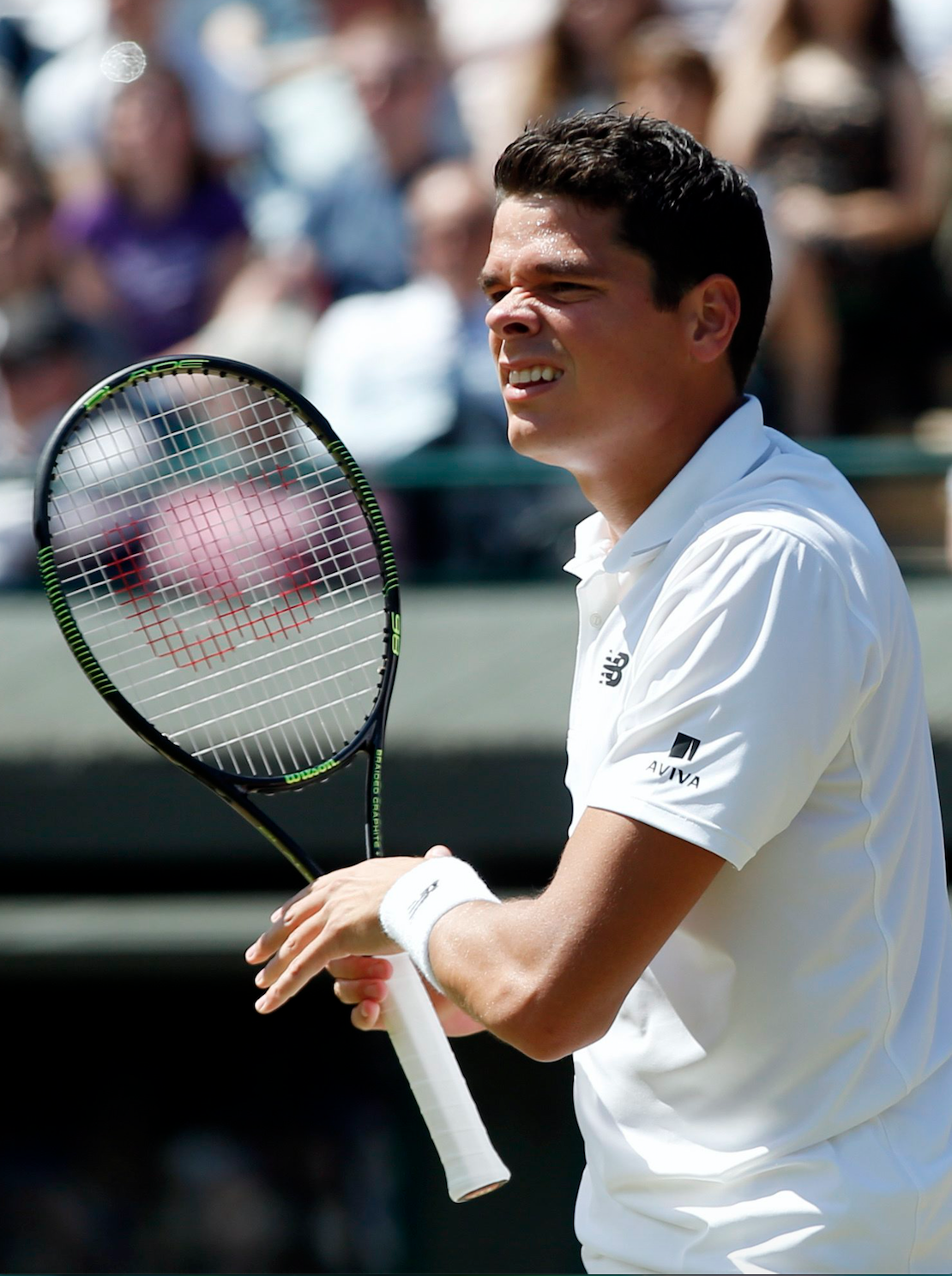 Victoire du Canadien Milos Raonic à Wimbledon face à Sam Querrey