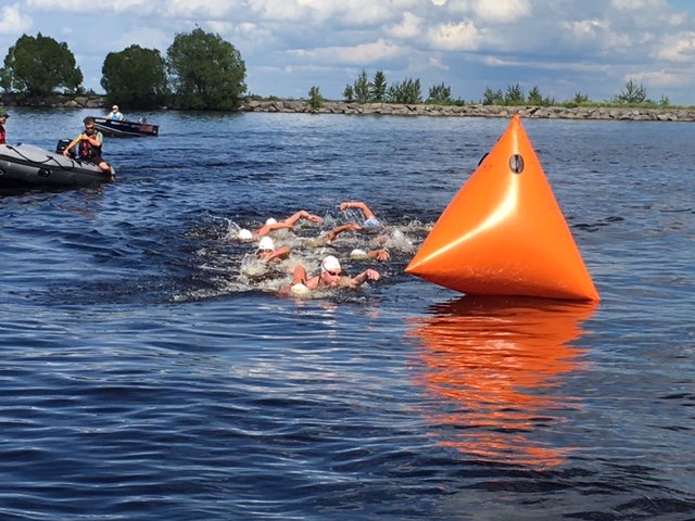 le peloton de tête au marathon 10 km, le 28 juillet 2016. (Photo : Fina)