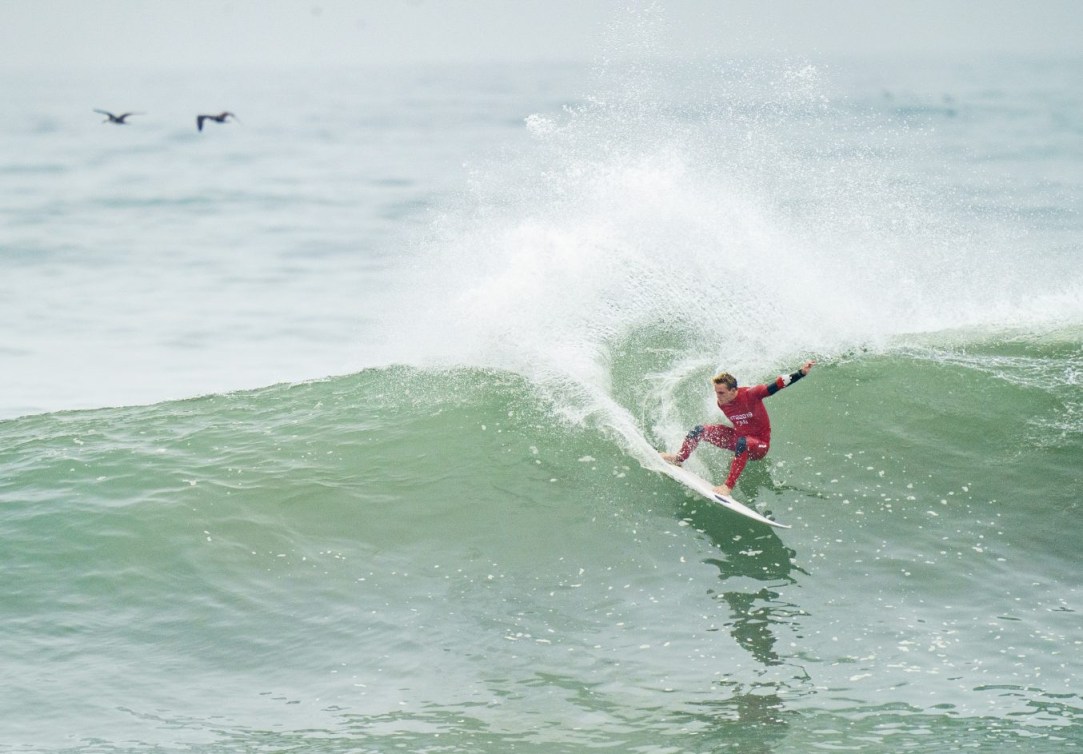 Un surfeur sur une vague